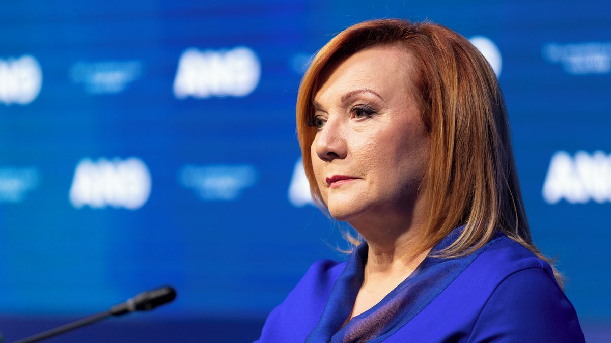 Výjimek chci co nejméně, je to peklo, řekla Schillerová k EET